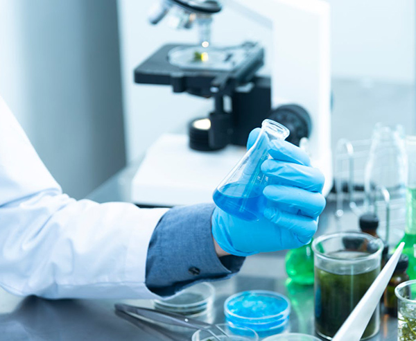 Research & Development and Quality Control